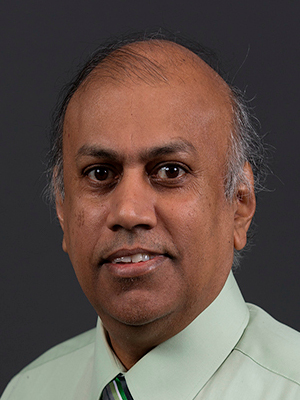 Picture of Dr. Jagannathan Sarangapani